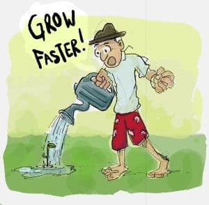 image of a guy watering a plant