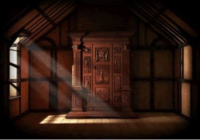 door to narnia