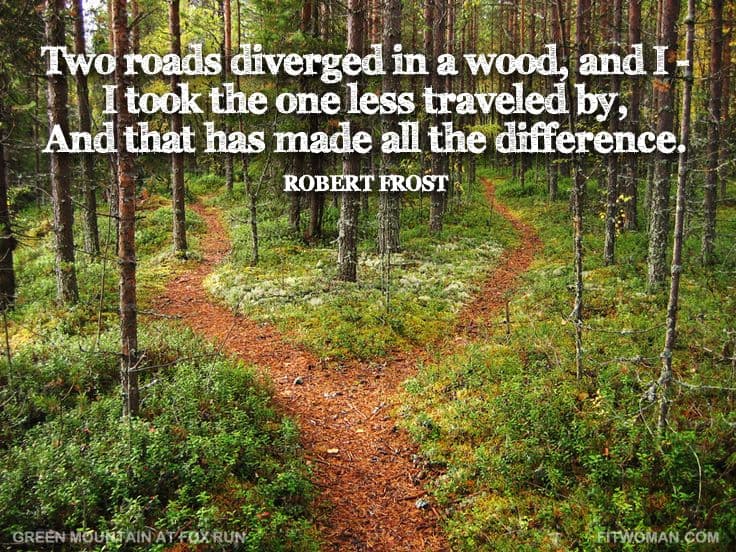 image of two diverging roads in a forest