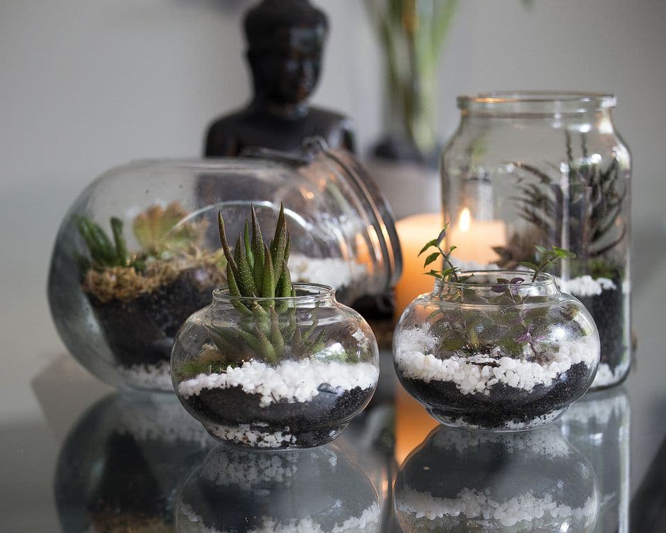 Private Label Terrariums