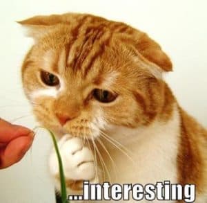 sometimes it's as simple as being interested