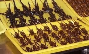 Weird Chinese Foods