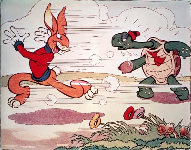 turtle and hare