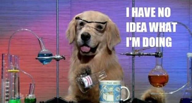 image-of-a-dog-i-have-no-idea-what-im-doing