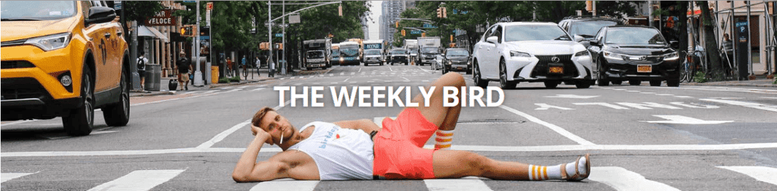 The Weekly Bird Bird Dog Clothing Example