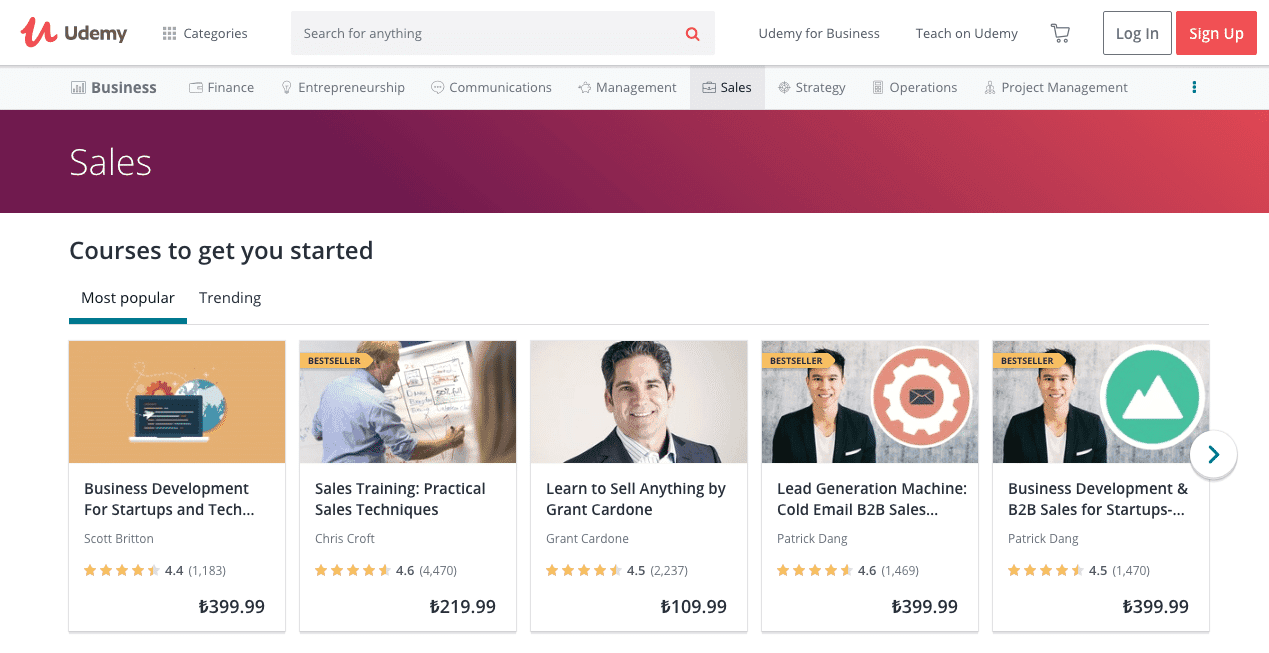 Search Results on Udemy