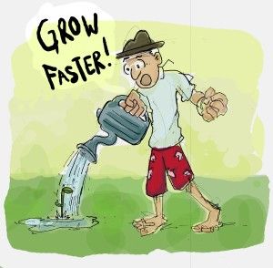 image of a guy watering a plant