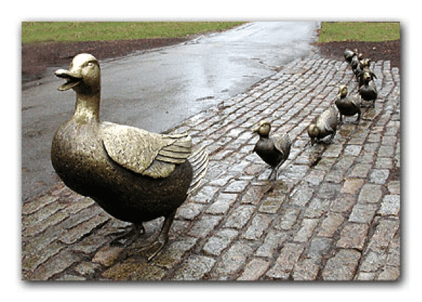 Ducks-in-a-Row