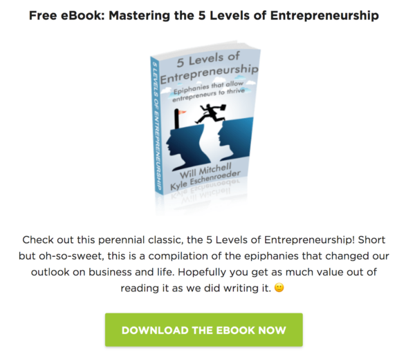 ebook image the 5 levels of entrepreneurship