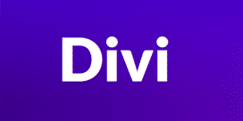 logo4wide divi